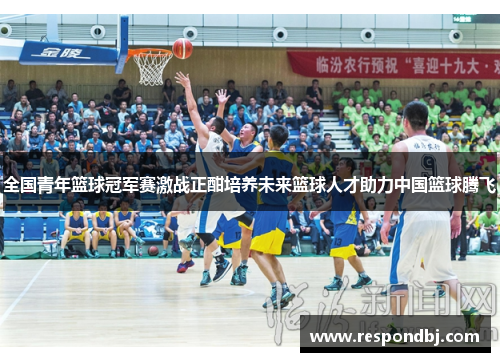 全国青年篮球冠军赛激战正酣培养未来篮球人才助力中国篮球腾飞 全国青年篮球冠军赛激战正酣培养未来篮球人才助力中国篮球腾飞
