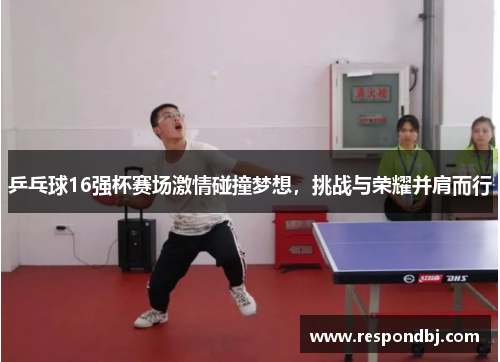 乒乓球16强杯赛场激情碰撞梦想，挑战与荣耀并肩而行