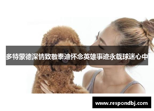 多特蒙德深情致敬泰迪怀念英雄事迹永载球迷心中