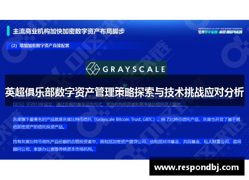 英超俱乐部数字资产管理策略探索与技术挑战应对分析