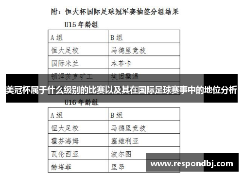 美冠杯属于什么级别的比赛以及其在国际足球赛事中的地位分析